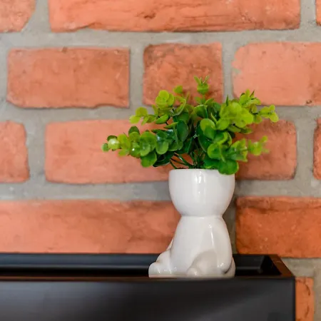 Tauron Arena Modern By Bookinghost Appartement