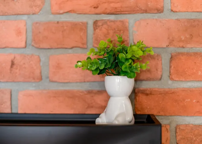 Tauron Arena Modern By Bookinghost Apartamento